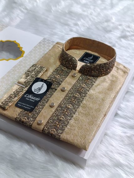 (Code: 453) রাজকীয় লাক্সারি কাতান পাটি প্রিমিয়াম পাঞ্জাবি